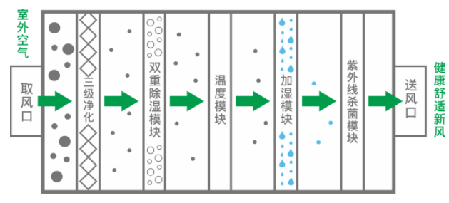 五恒系统